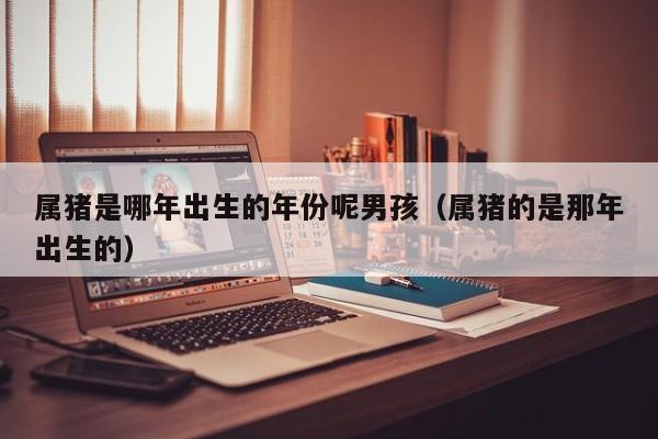 属猪是哪年出生的年份呢男孩（属猪的是那年出生的）