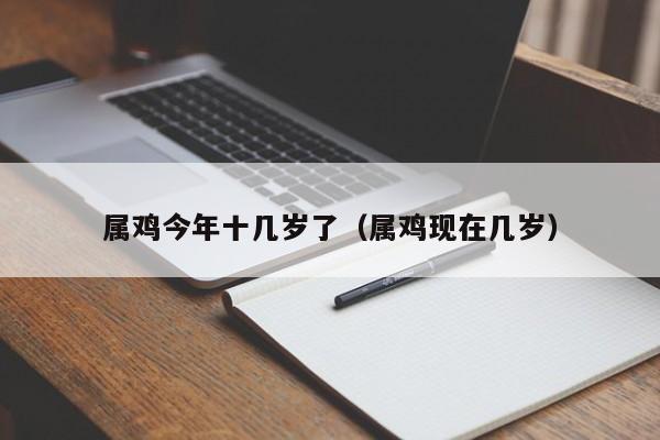 属鸡今年十几岁了（属鸡现在几岁）