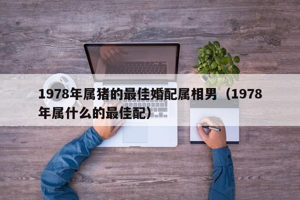 1978年属猪的最佳婚配属相男（1978年属什么的最佳配）