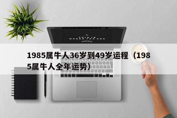 1985属牛人36岁到49岁运程（1985属牛人全年运势）