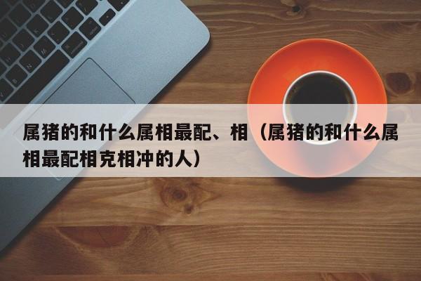 属猪的和什么属相最配、相（属猪的和什么属相最配相克相冲的人）