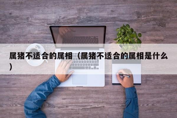 属猪不适合的属相（属猪不适合的属相是什么）