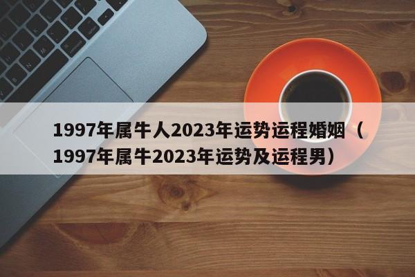 1997年属牛人2023年运势运程婚姻（1997年属牛2023年运势及运程男）