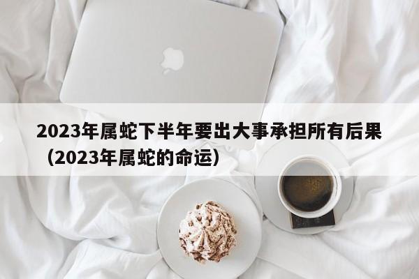 2023年属蛇下半年要出大事承担所有后果（2023年属蛇的命运）