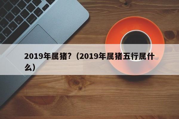 2019年属猪?（2019年属猪五行属什么）