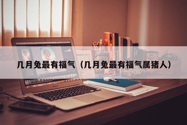 几月兔最有福气（几月兔最有福气属猪人）