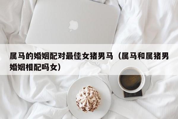 属马的婚姻配对最佳女猪男马（属马和属猪男婚姻相配吗女）
