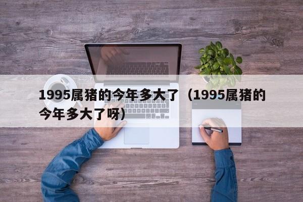 1995属猪的今年多大了（1995属猪的今年多大了呀）