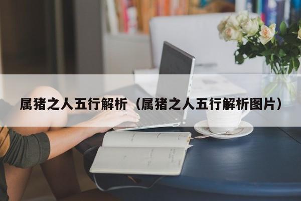 属猪之人五行解析（属猪之人五行解析图片）