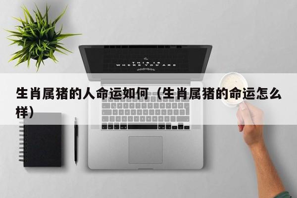 生肖属猪的人命运如何（生肖属猪的命运怎么样）