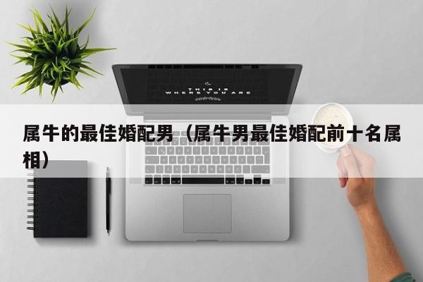 属牛的最佳婚配男（属牛男最佳婚配前十名属相）