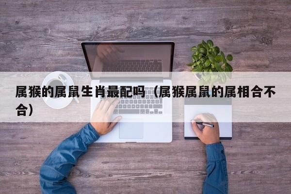属猴的属鼠生肖最配吗（属猴属鼠的属相合不合）