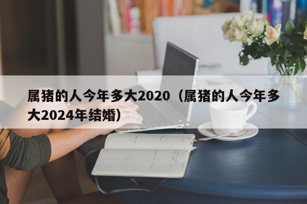 属猪的人今年多大2020（属猪的人今年多大2024年结婚）