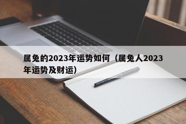 属兔的2023年运势如何（属兔人2023年运势及财运）