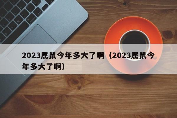 2023属鼠今年多大了啊（2023属鼠今年多大了啊）