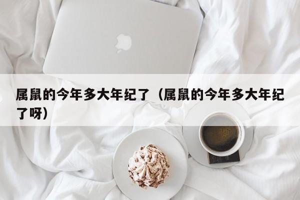 属鼠的今年多大年纪了（属鼠的今年多大年纪了呀）