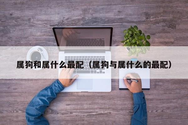 属狗和属什么最配（属狗与属什么的最配）