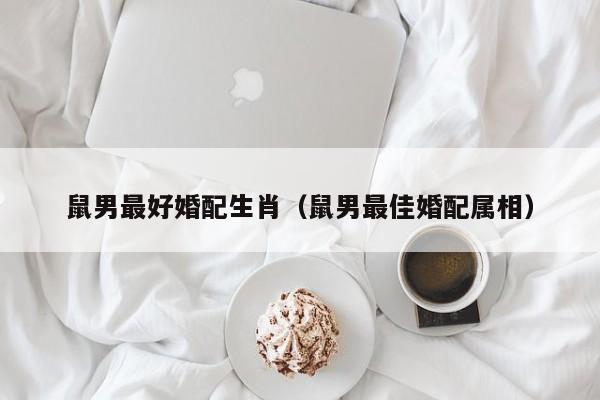 鼠男最好婚配生肖（鼠男最佳婚配属相）