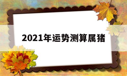 2021年的属猪运势