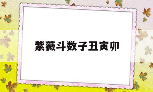 紫薇斗数子丑寅卯