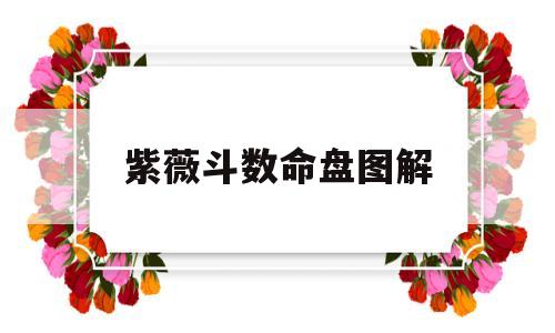 紫微斗数免费命盘详解各宫位