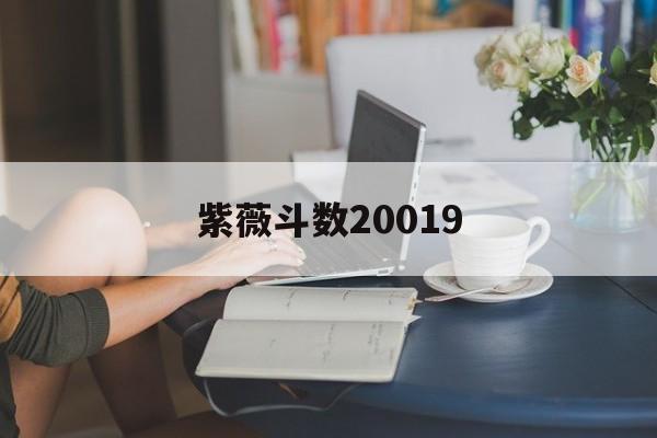 紫薇斗数20019