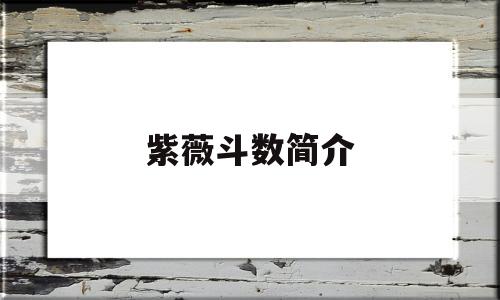 紫薇斗数简介