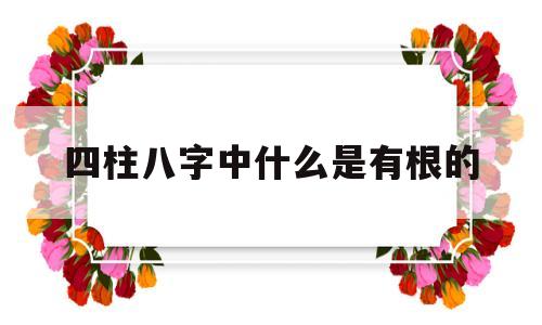 什么叫四柱有根 什么叫四柱有根