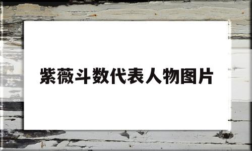 关于紫薇斗数代表人物图片的信息