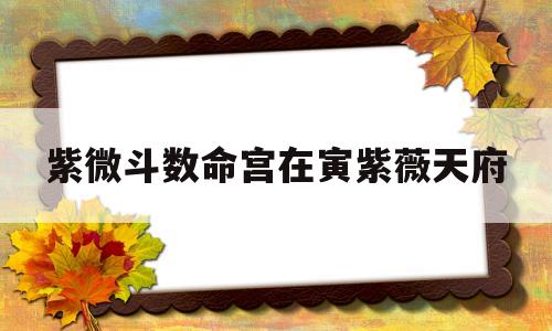 紫微斗数命宫在寅紫薇天府的简单介绍