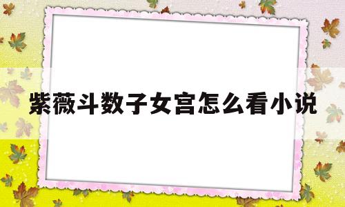 紫薇斗数子女宫怎么看小说的简单介绍