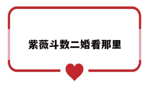 紫薇斗数二婚看那里
