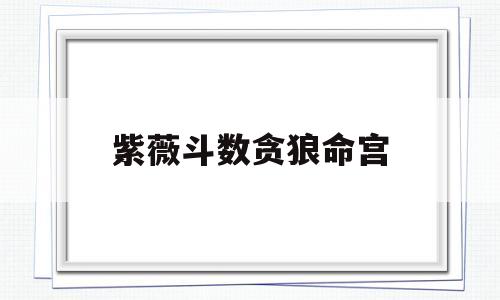 紫微斗数贪狼入命宫