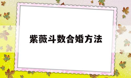 紫薇斗数合婚的准则
