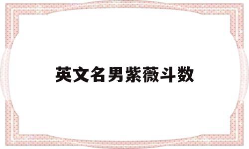 英文名男紫薇斗数的简单介绍