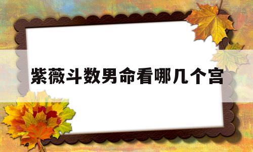 紫薇斗数男命看哪几个宫 紫薇斗数男命看哪几个宫