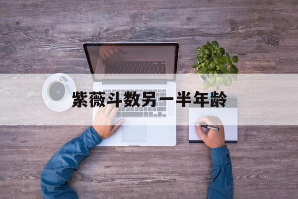 紫微斗数上的年纪是虚岁 紫微斗数上的年纪是虚岁
