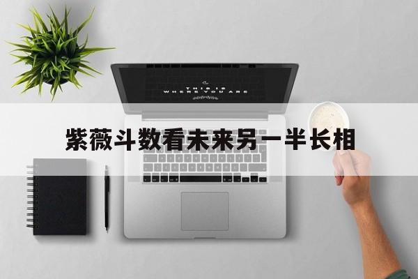 紫薇斗数看未来另一半长相