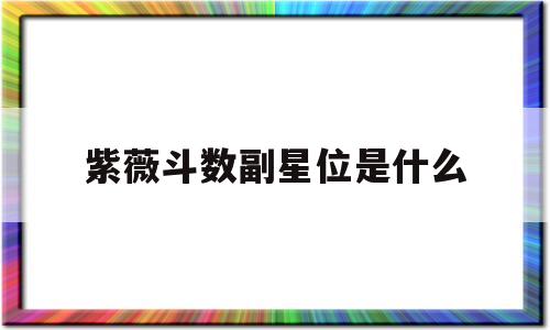 紫微斗数 副星