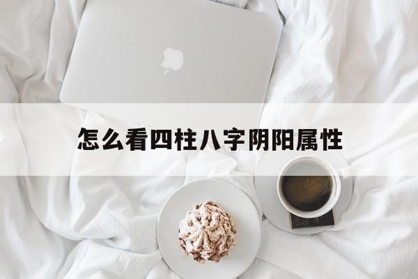 怎么看四柱八字阴阳属性的简单介绍