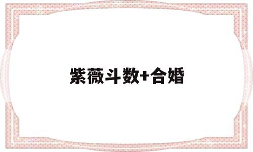 紫薇斗数+合婚 紫薇斗数+合婚