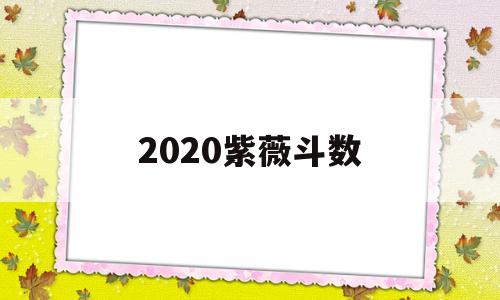 紫微斗数2021年 紫微斗数2021年