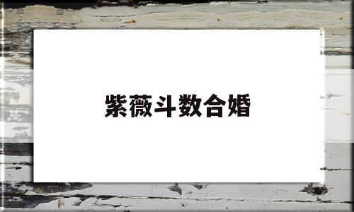 紫薇斗数合婚 紫薇斗数合婚