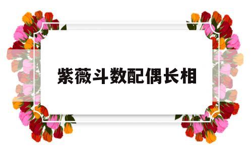 紫徽斗数看配偶长相