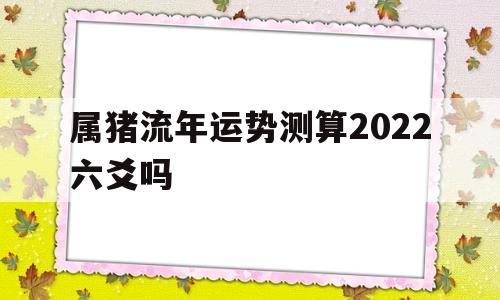 2021属猪流年运势