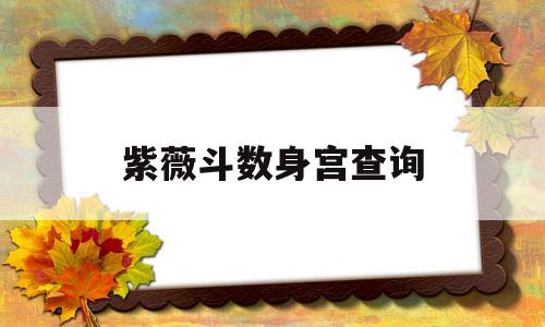 紫薇斗数看身宫