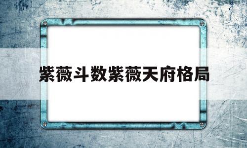 紫薇斗数命宫天府
