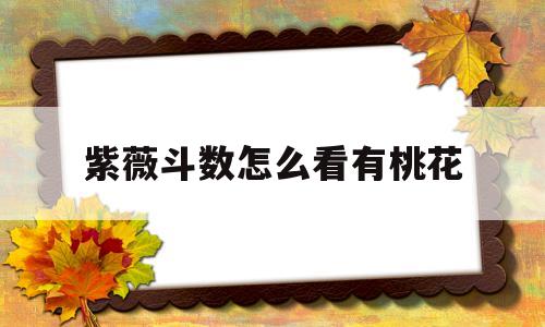紫微斗数怎么看流年有没有桃花