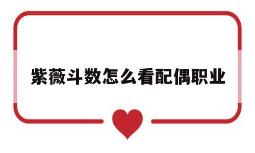 紫薇斗数怎么看配偶职业 紫薇斗数怎么看配偶职业