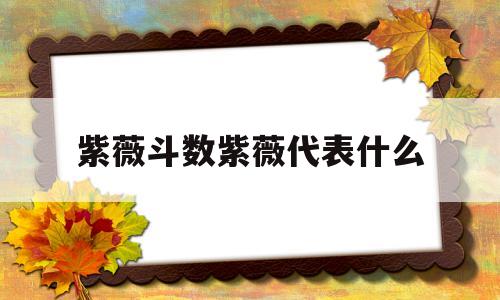 关于紫薇斗数紫薇代表什么的信息